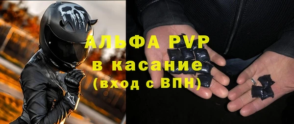 сатива Елизово