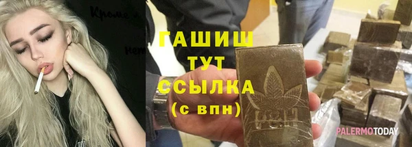 сатива Елизово