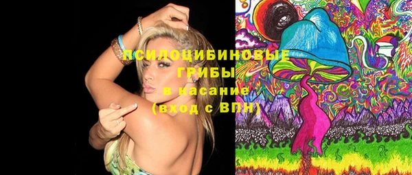 экстази Ельня
