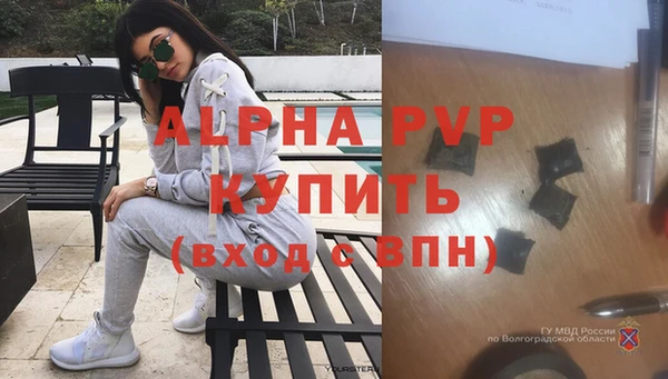 сатива Елизово
