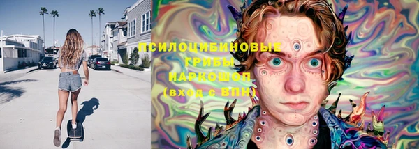 экстази Ельня